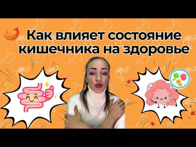 Здоровый кишечник! Это важно! смотреть онлайн