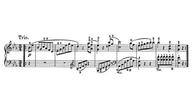 Гайдн симфония 103 3 часть