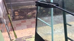 Проверка оборотов Двигателя Мега 208