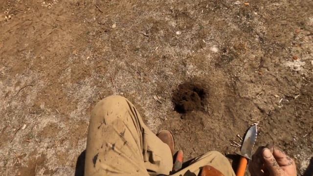 Minelab X-TERRA PRO Pulls Out Silvers And Old Coins In Downtown Home Sites!! смотреть онлайн