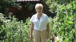 УХОД ЗА КЛУБНИКОЙ ПОСЛЕ ПЛОДОНОШЕНИЯ! ОСНОВНЫЕ ПРАВИЛА