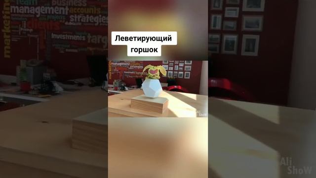 Чудо горшок для цветов с Aliexpress смотреть онлайн