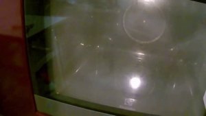 Очистить электрическую духовку