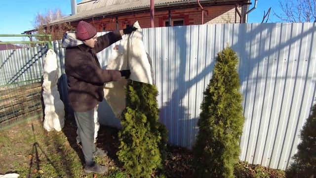 Подготовили туи к зиме. Что стало с нашим забором из затеняющей сетки после сильного ветра?! смотреть онлайн
