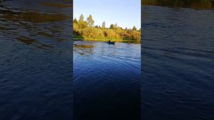 HANGKAI 3.6 СКОРОСТЬ СВЕТА