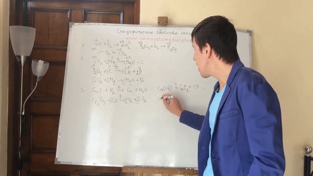 Специфические свойства оксидов. Самоподготовка к ЕГЭ и ЦТ по химии