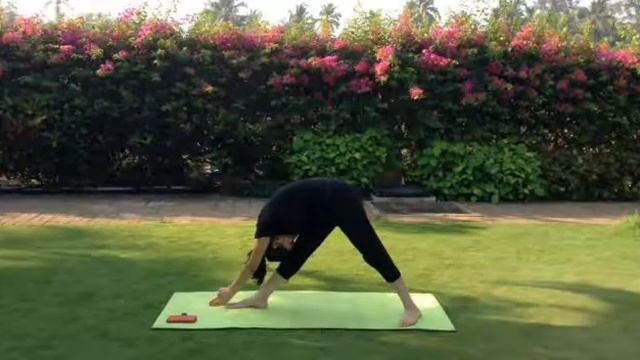 Yoga video by shraddha daga смотреть онлайн