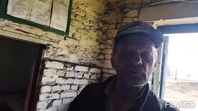 кормушки для коров