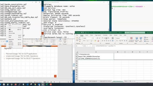 Oracle Real Application Cluster (RAC) and Transparent Application Continuity (TAC) Overview & Demos