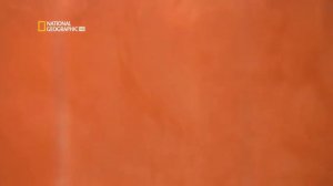 Египетские казни. 1 часть.