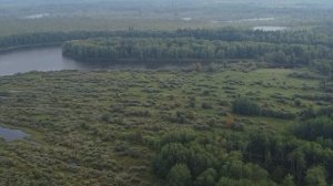 Васюган с высоты птичьего полёта