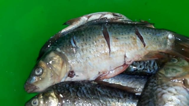 Жареные Вкусные Караси. смотреть онлайн