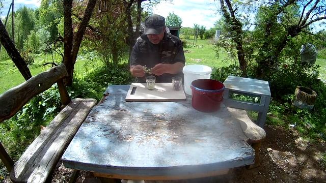 цветы сирени/травник/лекарственные растения/пробую/ok смотреть онлайн