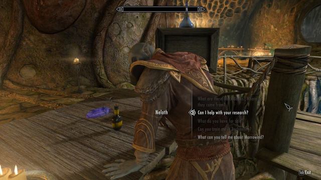 The Adventures of Gandalf Magnus Day 33 |Skyrim SE Modded| Being Neloth's pet смотреть онлайн