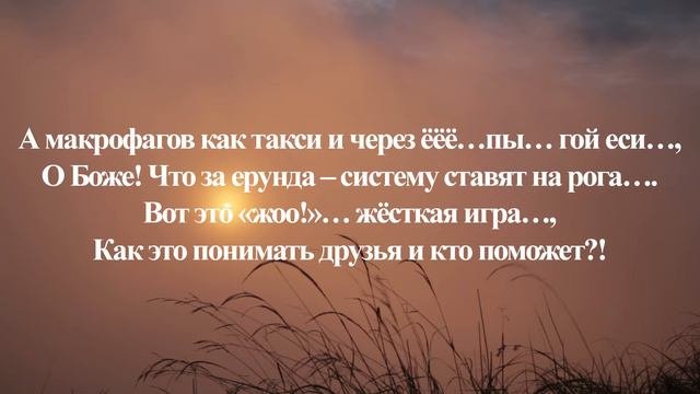 Творческая компиляция лекционного материала по иммунологии.