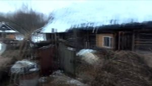 Сколько сена и веников надо козе на зиму