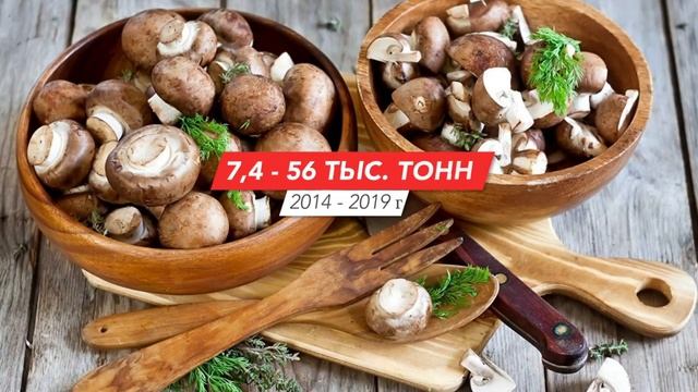 Бизнес план. Выращивание шампиньонов. Бизнес идея