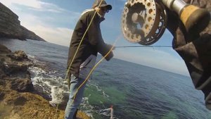 Ловля саргана нахлыстом. Межводное. 31.10. 2018.