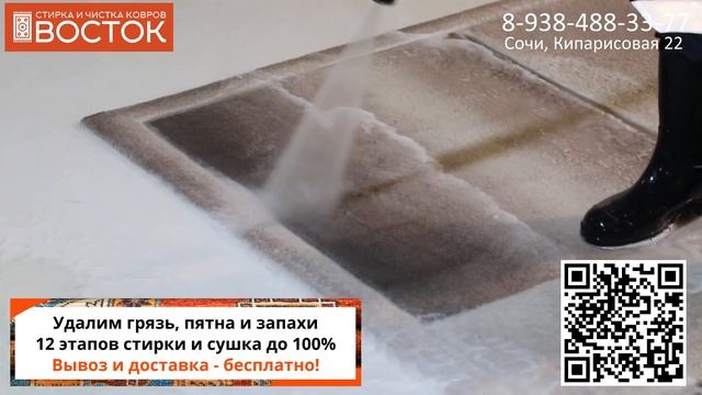 Как вывести запах кошачьей мочи с ковра? Стирка и чистка ковров ВОСТОК