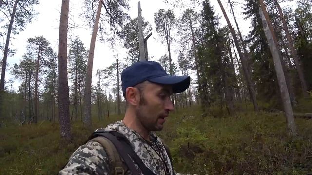 ГЛУХАРЬ вычислил меня. Охота на боровую ДИЧЬдомой с добычей