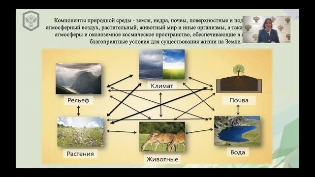 Общие вопросы