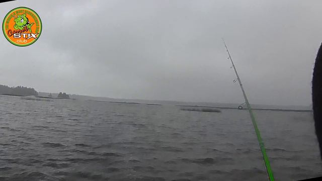 Универсальное удилище компании Carrot Stix C2WS762M-MF-S смотреть онлайн