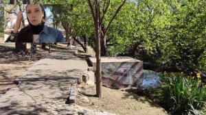 Отношение к русским в Аргентине. Как аргентинцы встречают русских?