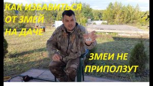 КАК ИЗБАВИТЬСЯ ОТ ЗМЕЙ НА ДАЧЕ, ЗМЕЙ В УЖАСЕ УПОЛЗУТ С ВАШЕГО УЧАСТКА И НЕ ВЕРНУТСЯ НИКОГДА.