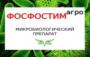 Микробиологический препарат Фосфостим-агро.mp4