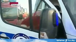 Собака спасла жизнь трёхлетней девочке