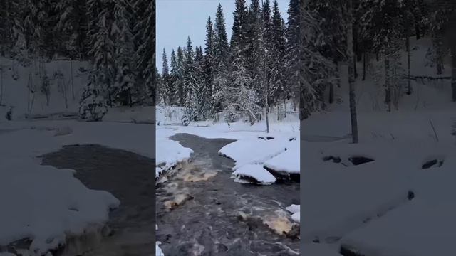 🌊весенние бурные реки😍