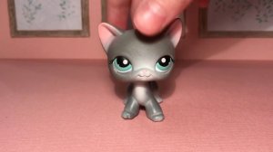 LPS / ПОСЫЛКА с AVITO (две кошки, оригинал) Littlest pet shop.