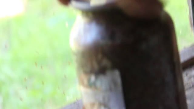 ТАКИХ НАХОДОК В ЛЕСУ ЕЩЕ НИКТО НЕ ВИДЕЛ! АБВГАТ. смотреть онлайн