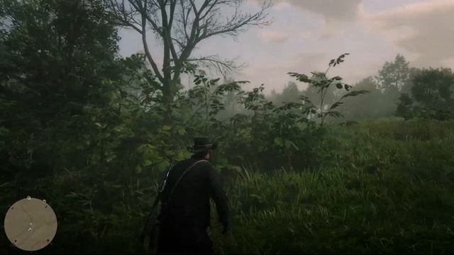 Red Dead Redemption 2 - Ловцы снов 2/20 смотреть онлайн