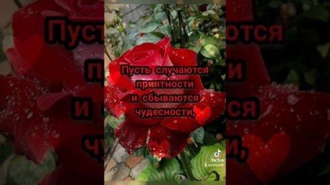 Музыкальная открытка