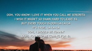 Shawn Mendes, Camila Cabello - Señorita (Lyrics)