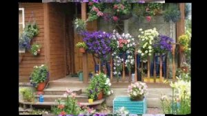 Чудесные подвесные кашпо в оформлении дома