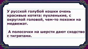 Русская Голубая кошка, Породы кошек, описание