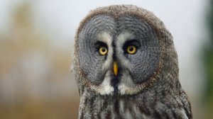 #природа_России