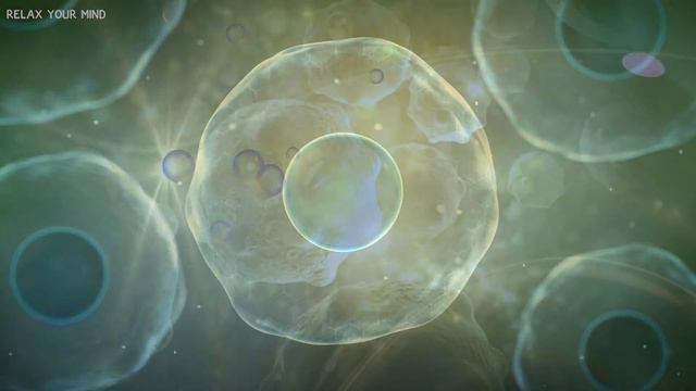 741Hz - Limpia Toxinas Y Desintoxica Células Y Órganos , Rejuvenecimiento De Todo El Cuerpo смотреть онлайн