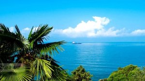 Это Сочи (СУПЕР песня !!!)