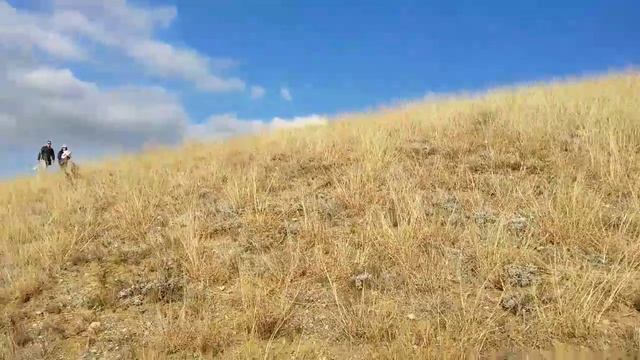 Посадка Дуба (Черешчатого) АР Крым пас.Балаклава 2021г. смотреть онлайн