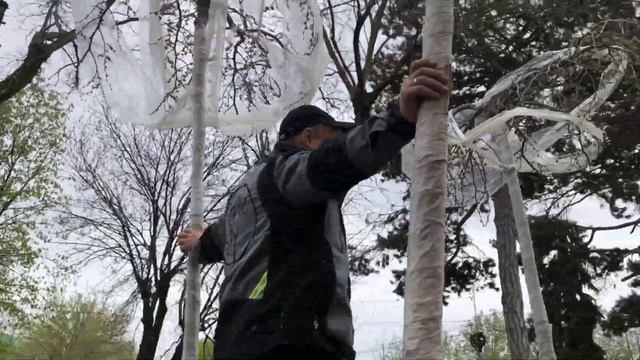 Как заложить аллею в саду? 15 важных правил для сада