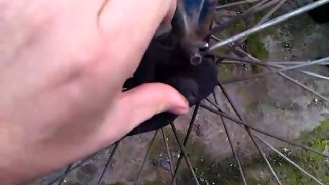 Как подтянуть цепь на велосипеде. смотреть онлайн