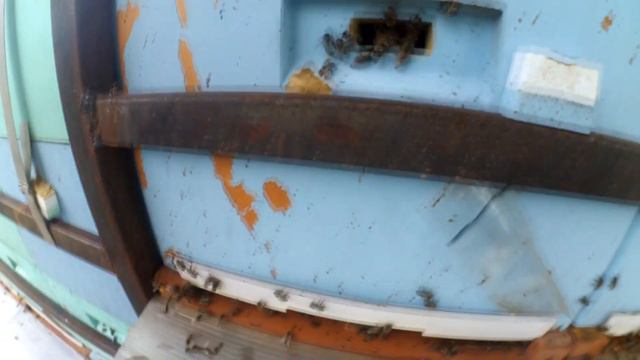 Платформа для пчёл, выупск 2-й// быстрый обзор смотреть онлайн