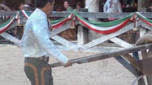 #5 Родео (Мексика)