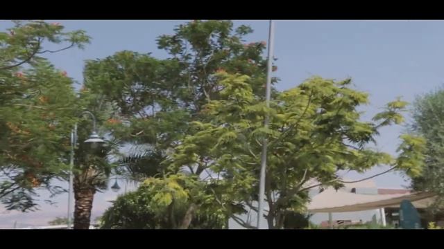 VLOG / Израиль / Святые места / Мертвое море / смотреть онлайн