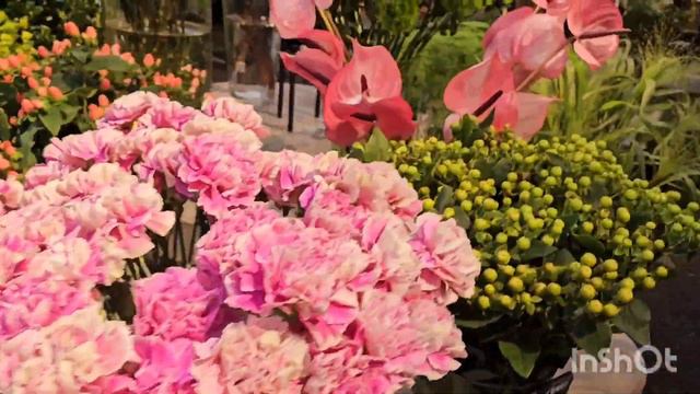 Захотелось лета среди зимы.🌹🏵☘️🪷🪻🌵🌺🍀🌻🌸🪴 смотреть онлайн