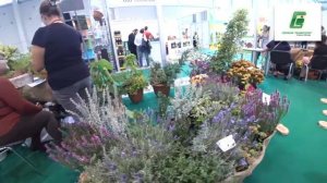 Цветы - 2018 ВДНХ - Сад науки