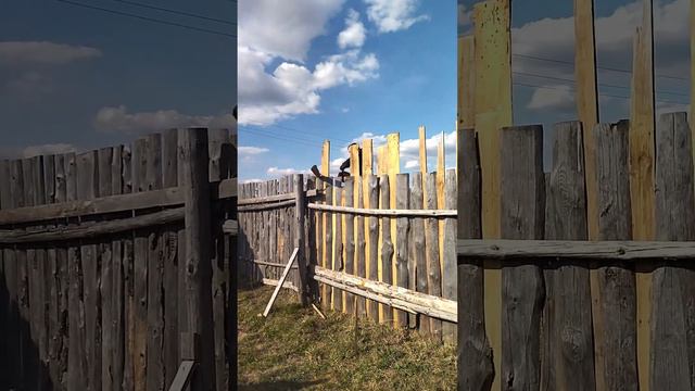 ровняю забор | жизнь в деревне